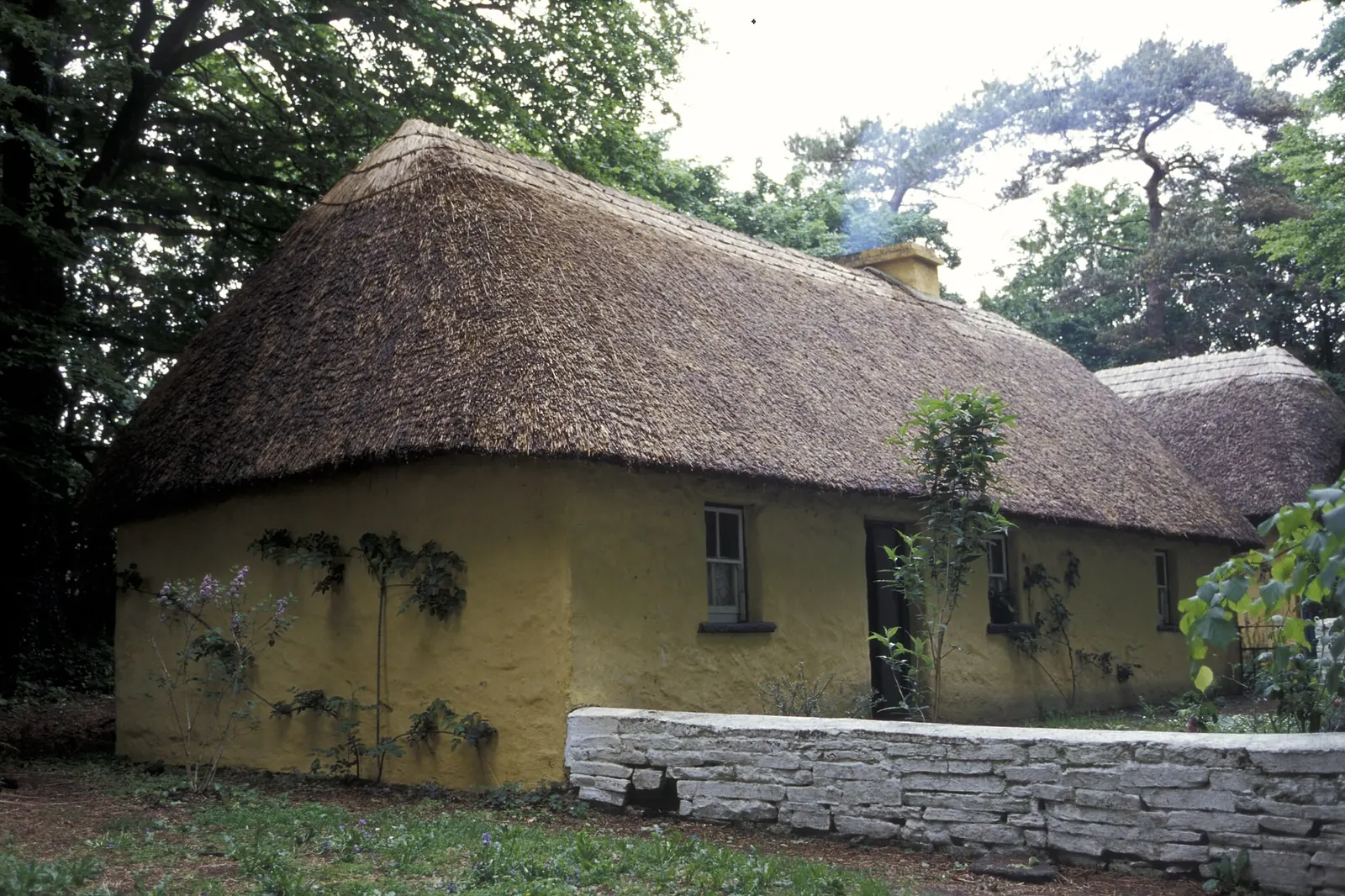 A yellow-walled thatched cottage in Bunratty Folk Park, with a low stone wall in front and trees behind